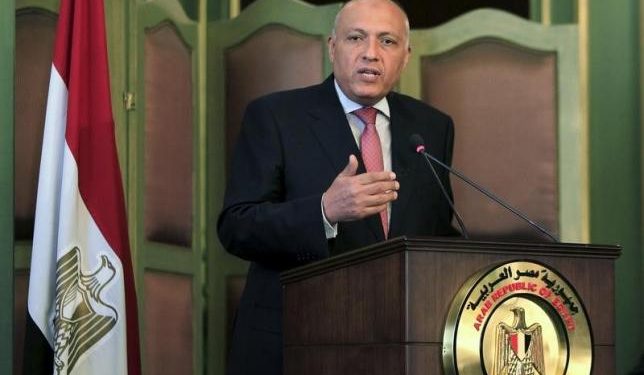 Egyptian Foreign Minister Shoukry speaks during a news conference after a meeting with his Italian counterpart Gentiloni at the foreign ministry in Cairo