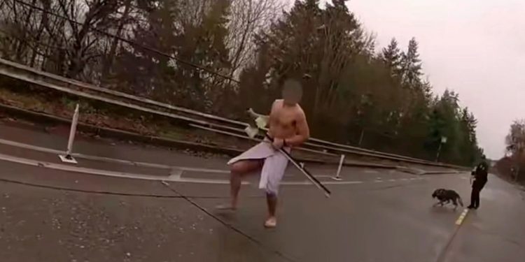 seatle_gymnos3