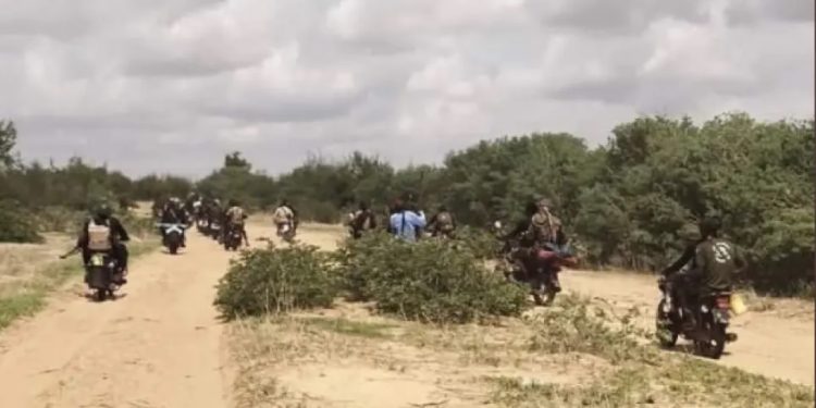 zamfara