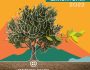 dakoktonia-2022