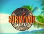 Survivor All Star