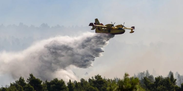 fotia-canadair