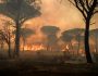 FILES-FRANCE-FIRE-ENVIRONMENT-NATURE-ANIMALS-CLIMATE