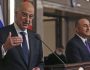 dendias_cavusoglu_arthro