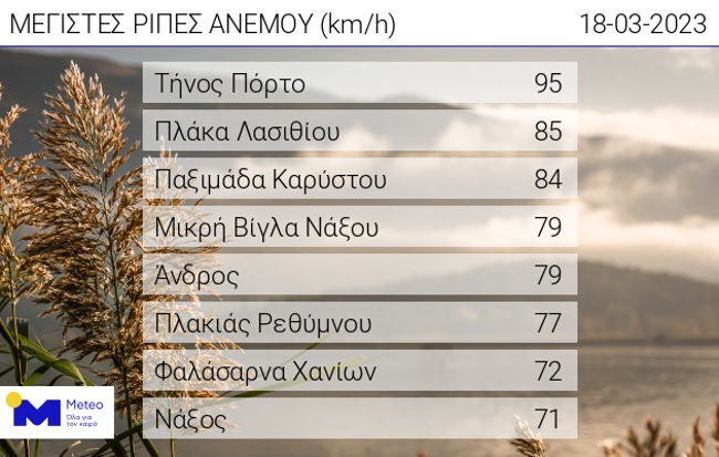 ripes18-3