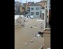 turkey-1024x670