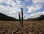 A drought-related cactus installation called "Desert of Cantareira" by Brazilian artist and activist Mundano is seen at Atibainha dam, part of the Cantareira reservoir, during a drought in Nazare Paulista, Sao Paulo December 2, 2014. Sao Paulo, Brazil's drought-hit megacity of 20 million, has about two months of guaranteed water supply remaining as it taps into the second of three emergency reserves, officials say.  REUTERS/Nacho Doce (BRAZIL - Tags: DISASTER ENVIRONMENT SOCIETY TPX IMAGES OF THE DAY)