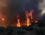 Firefighters and volunteers extinguish a wildfire close to the village of Prodromos, in Viotia, Greece, on August 21, 2023 / Πυροσβέστες και εθελοντές προσπαθούν να σβήσουν τη φωτιά καθώς  πλησιάζει το χωριό Πρόδρομος, στην Βοιωτία, στις 21 Αυγούστου 2023.