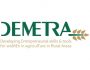 demetra_pantone