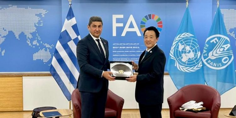 augenakis-fao