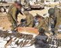 israel-opla-arthr
