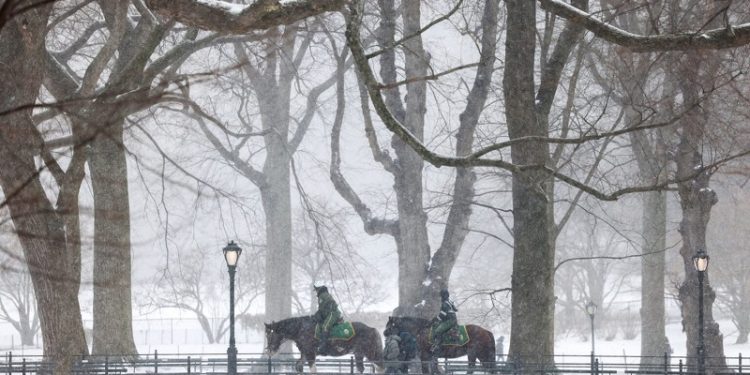 Park enforcement officers patrol on horses in New York's Central Park on January 19, 2024. The National Weather Service forecasts 2 to 3 inches (5 to 7 cms) of snowfall for the region with temperatures in the upper 30s F (-1C) for the weekend. (Photo by Charly TRIBALLEAU / AFP)