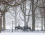 Park enforcement officers patrol on horses in New York's Central Park on January 19, 2024. The National Weather Service forecasts 2 to 3 inches (5 to 7 cms) of snowfall for the region with temperatures in the upper 30s F (-1C) for the weekend. (Photo by Charly TRIBALLEAU / AFP)