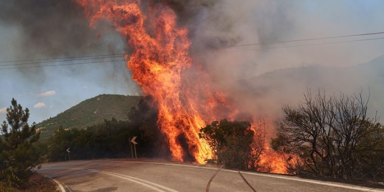 A firefighter rests outside of the village of Kirki, Alexandroupoli, Greece on August 23, 2023. / Πυροσβέστης ξεκουράζεται εξω απο το χωριό Κίρκη, Αλεξανδρούπολη, 23 Αυγούστου 2023.
