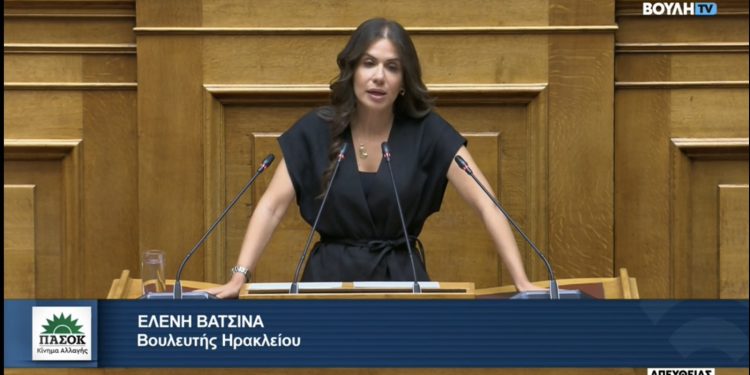 eleni-vatsina-vouli-29072024