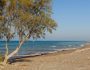 paralia-theologou