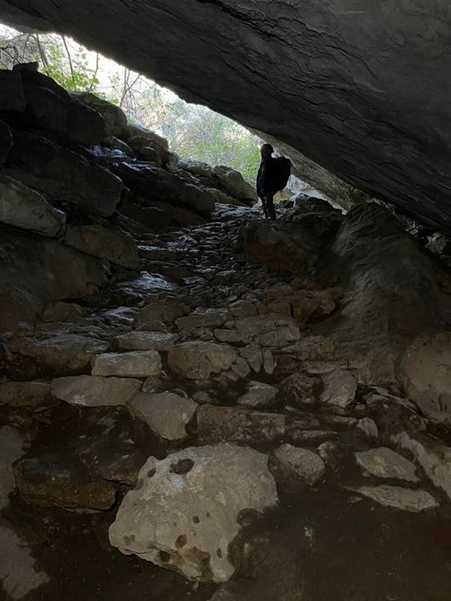 path-1