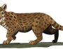 gatamikri