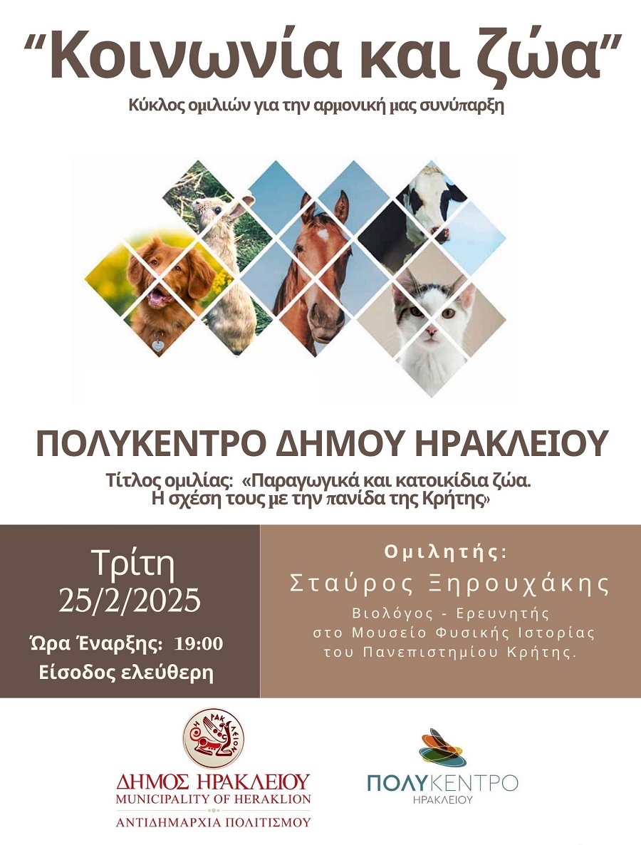 kinonia-ke-zoa-poster