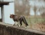ikona_viber_2025-03-06_13-42-11-912