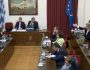 arthrou-adonis-polakis