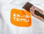 temu-dema-1