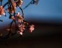 ikona_viber_2025-04-09_23-04-28-546