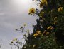 ikona_viber_2025-04-19_13-27-01-700