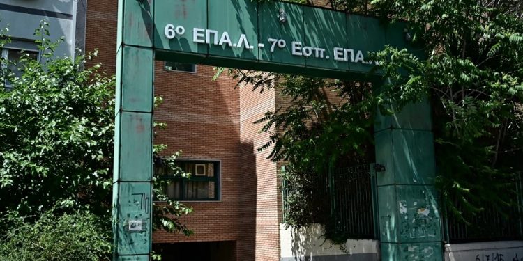 6oepal1