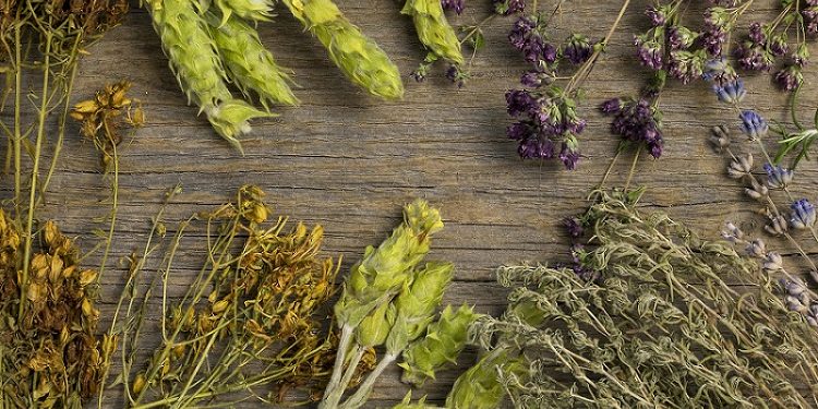 flat-lay-natural-medicinal-spices-herbs-scaled