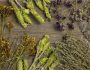 flat-lay-natural-medicinal-spices-herbs-scaled