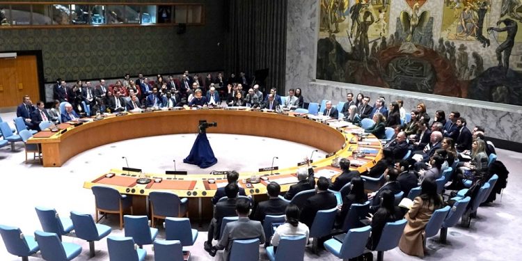 united-nations-security-council-mak
